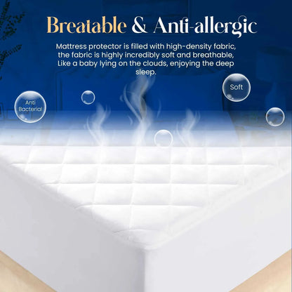 Waterproof Mattress Protector